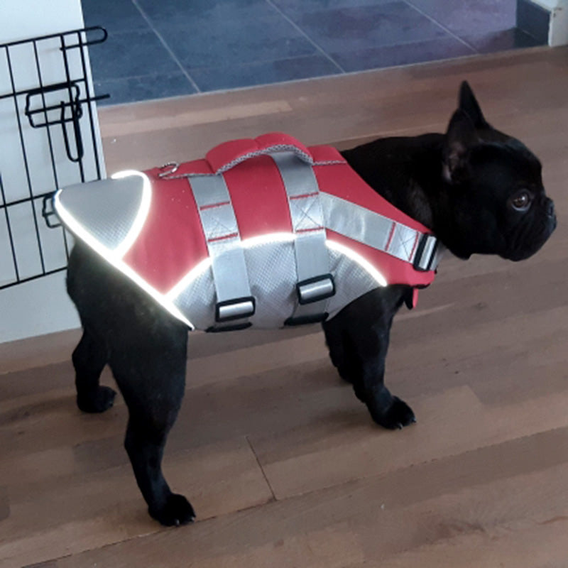 Gilet de sauvetage pour chien - SimplySafe™