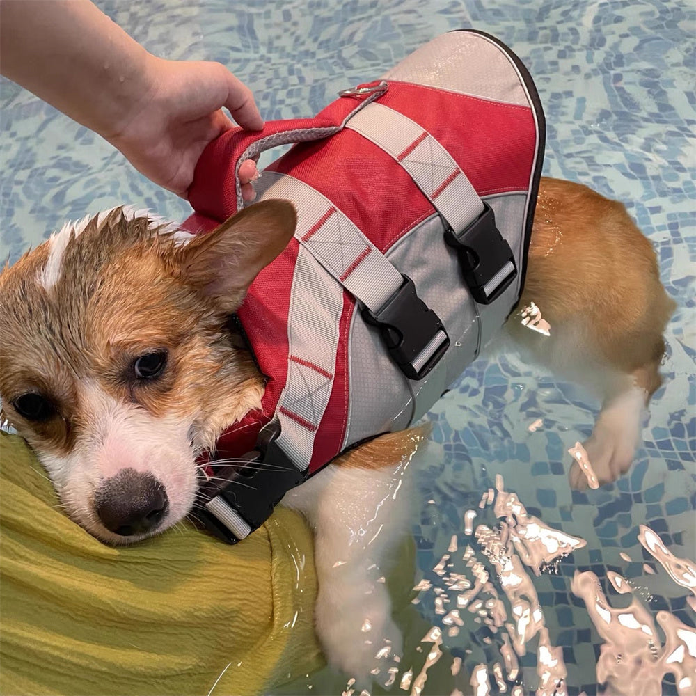 Gilet de sauvetage pour chien - SimplySafe™