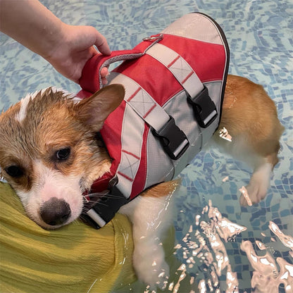 Gilet de sauvetage pour chien - SimplySafe™