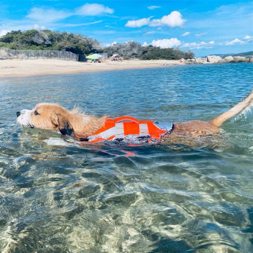 Gilet de sauvetage pour chien - SimplySafe™