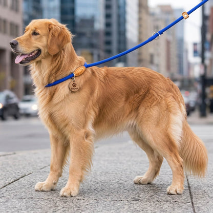 laisse chien lasso - EasyWalk™