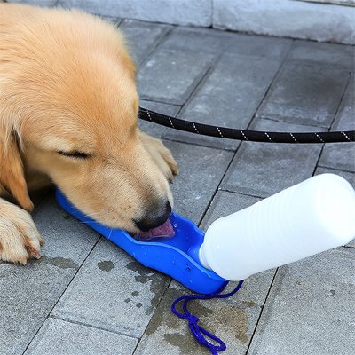 Gourde Portable pour Chien - PawHydrate™