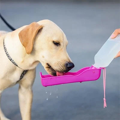 Gourde Portable pour Chien - PawHydrate™