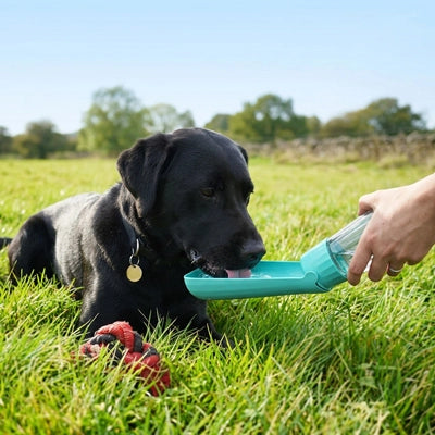 Gourde chien - SimplyWater™