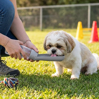 Gourde chien - SimplyWater™