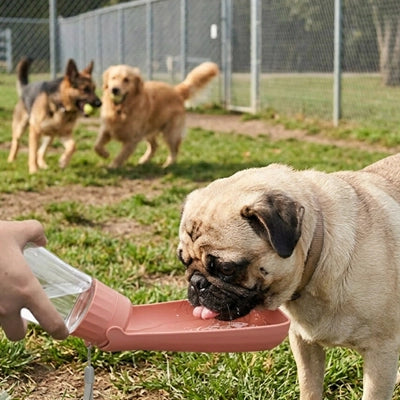 Gourde chien - SimplyWater™