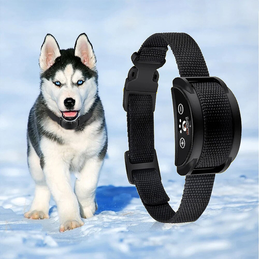 Collier anti aboiement - SecretCollar™