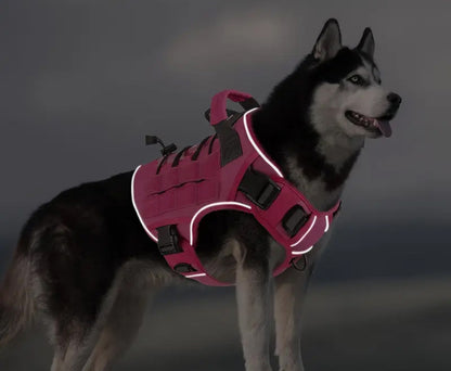 Harnais chien - SuperDog™