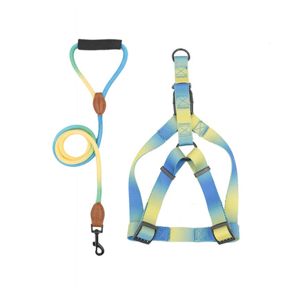 harnais jaune et bleu