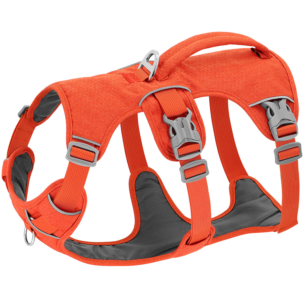Harnais pour chien TripleTreat orange