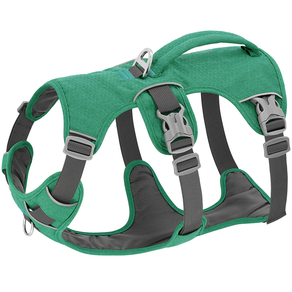 Harnais pour chien TripleTreat Vert