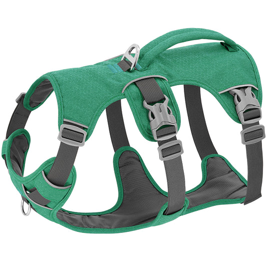 Harnais pour chien TripleTreat Vert