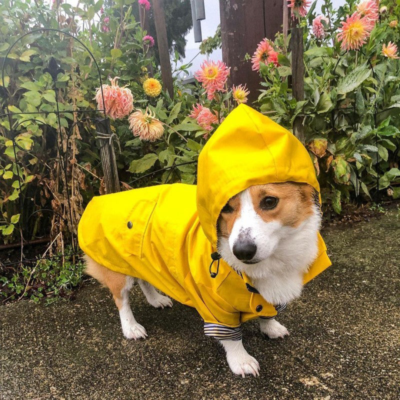 Imperméable pour chien​ - FearlessRainDog™