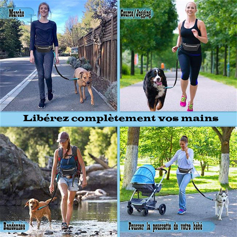 Laisse canicross - PerfectRun™