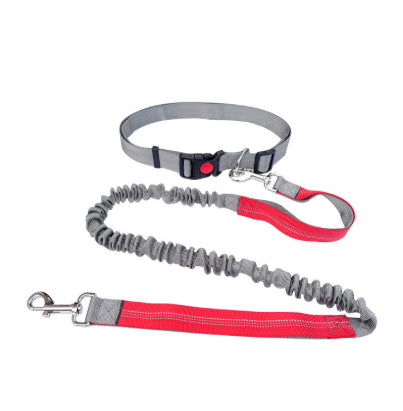 Laisse canicross - SuperFree™