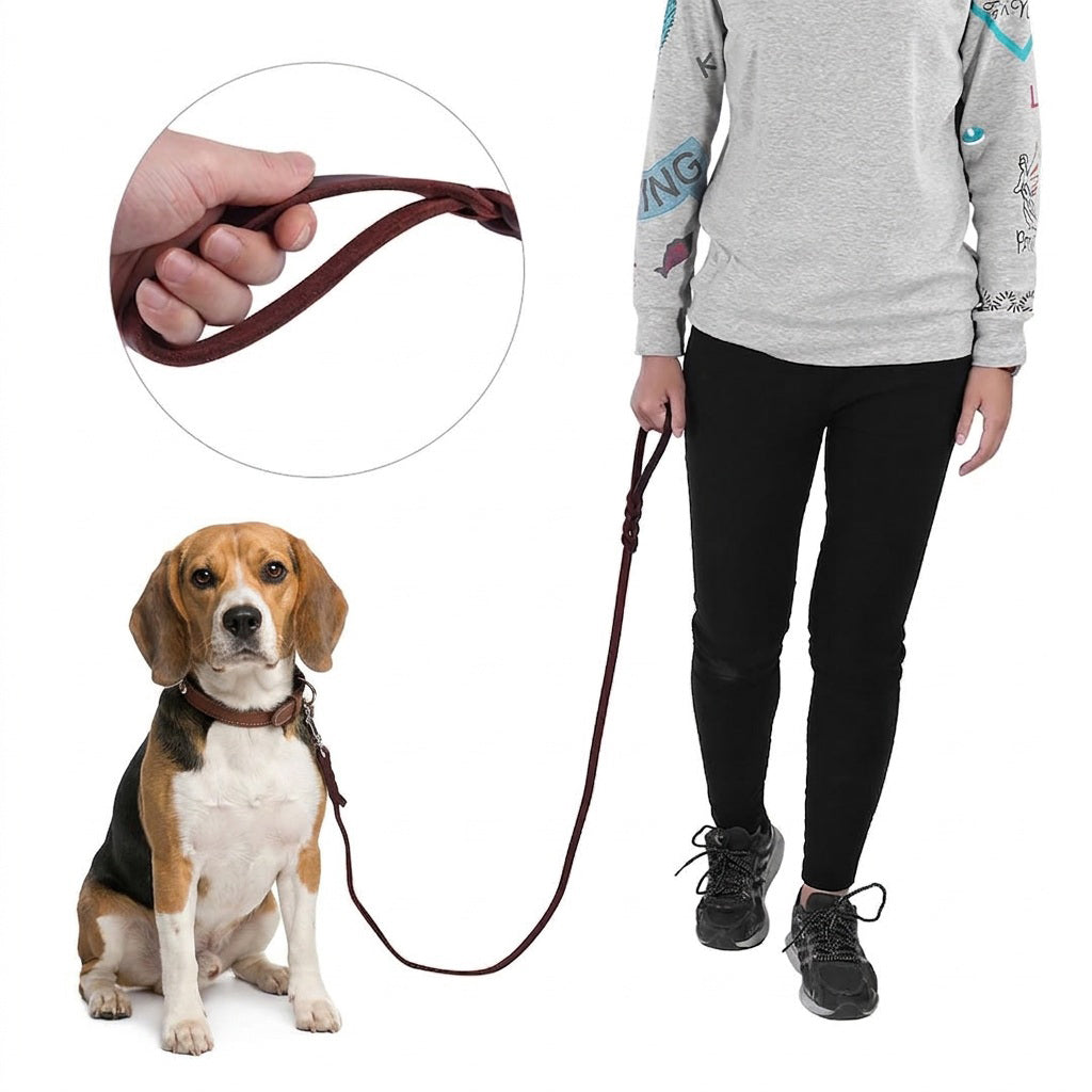 Laisse chien - CuirTotal™