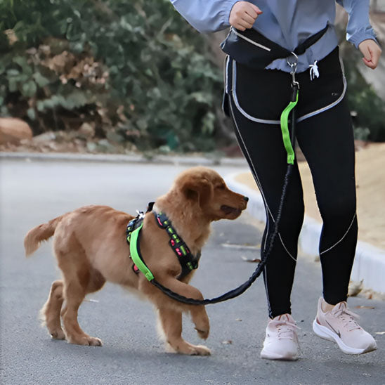 Laisse chien main libre - La Bella™