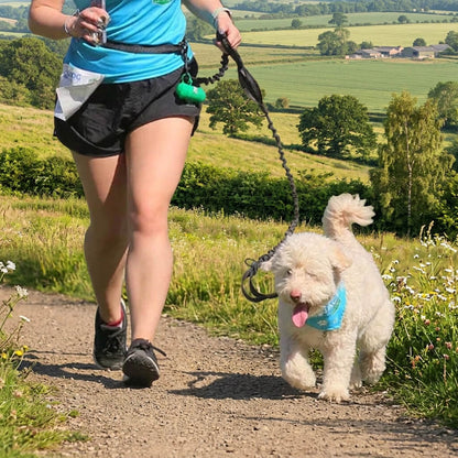 laisse pour chien a la taille - La Bella™ a la campagne