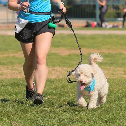 Laisse chien main libre - La Bella™