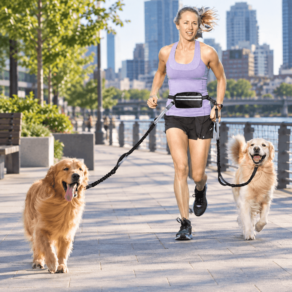Laisse mains libres chien - DoubleRun™