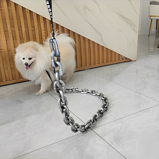 Laisse pour chien - Chaîne Simini™