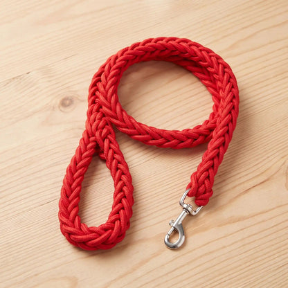 Laisse pour chien - La Torsade™