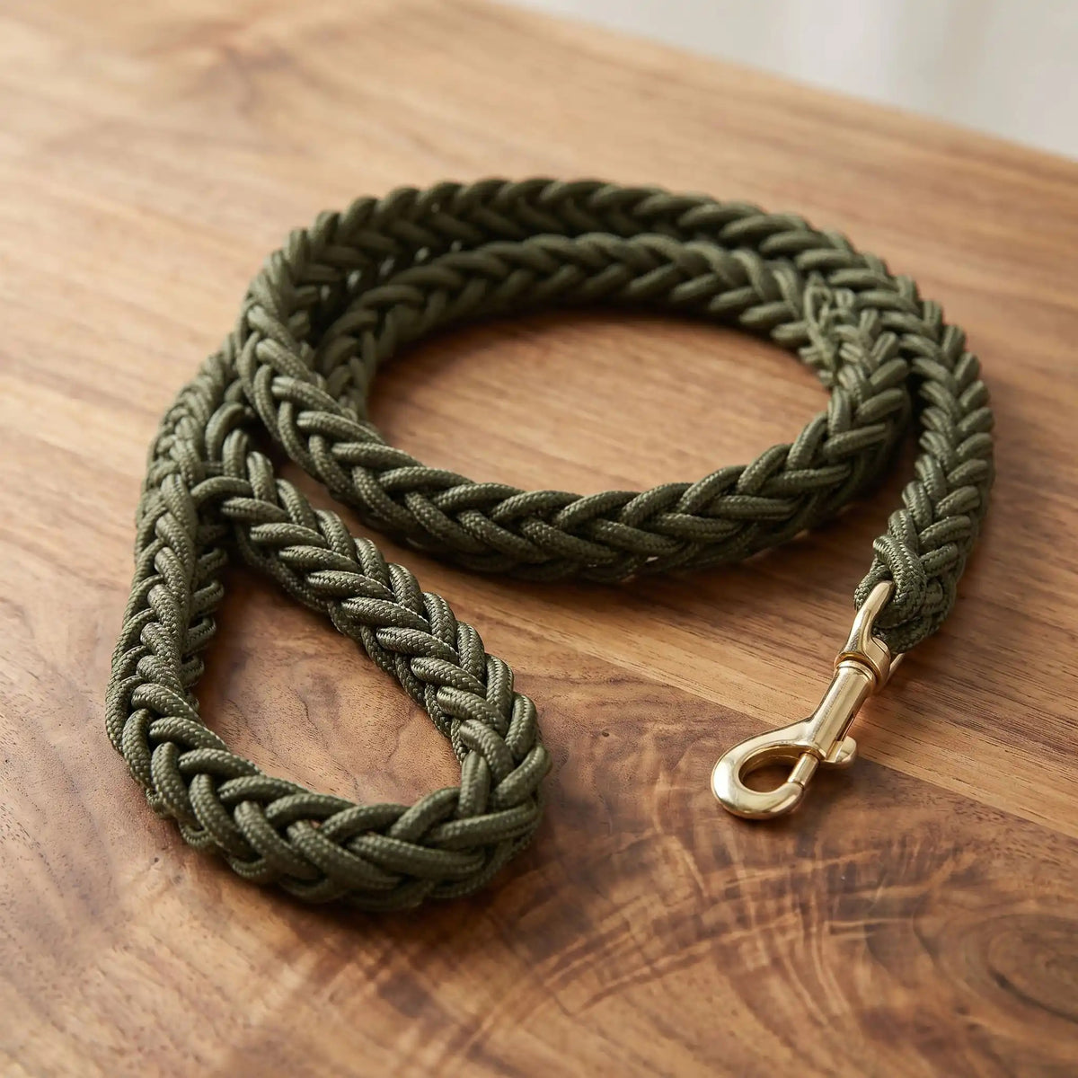 Laisse pour chien - La Torsade™