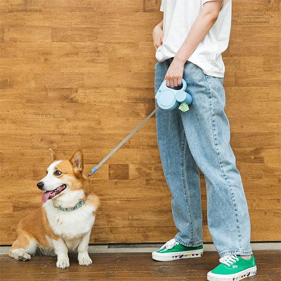 Laisse pour chien - Maxi-Laisse™