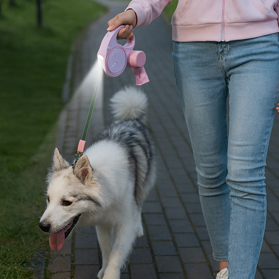 Laisse pour chien - Maxi-Laisse™