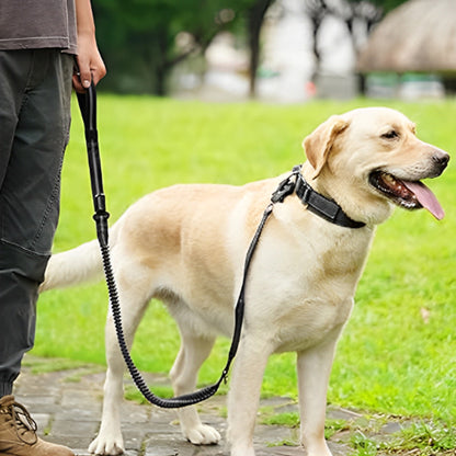 Laisse pour chien - prati-laisse™