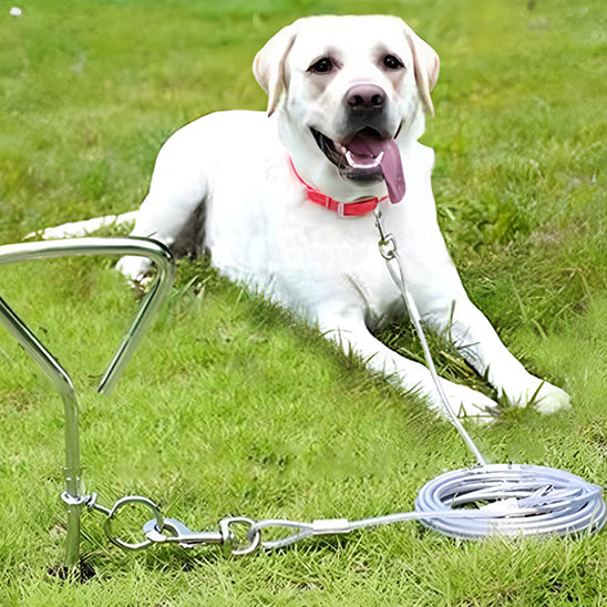 Laisse chien - Filin-Robusto™