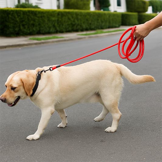 Longe pour chien - EasyTrain™ - Rouge