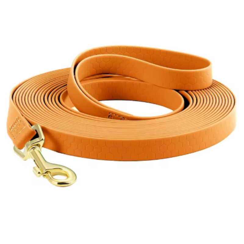 Longe pour chien - HoneyLeash™