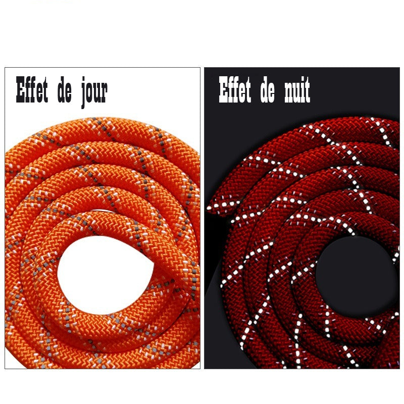 Longe pour chien - PraticoTraining™