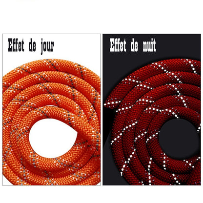 Longe pour chien - PraticoTraining™