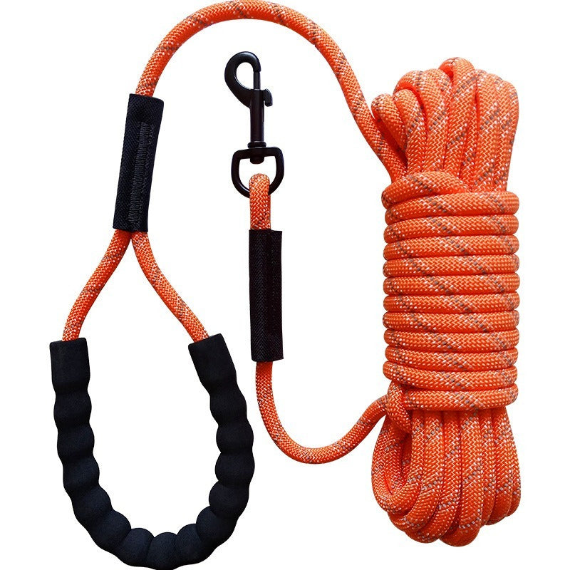 Longe pour chien - PraticoTraining™