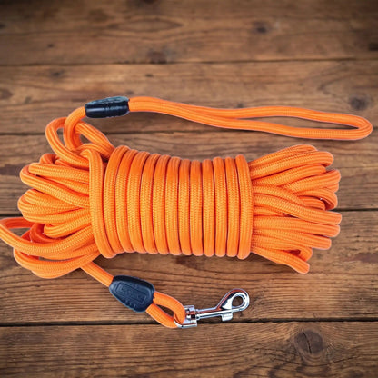 Longe pour chien - Safety-Laisse™