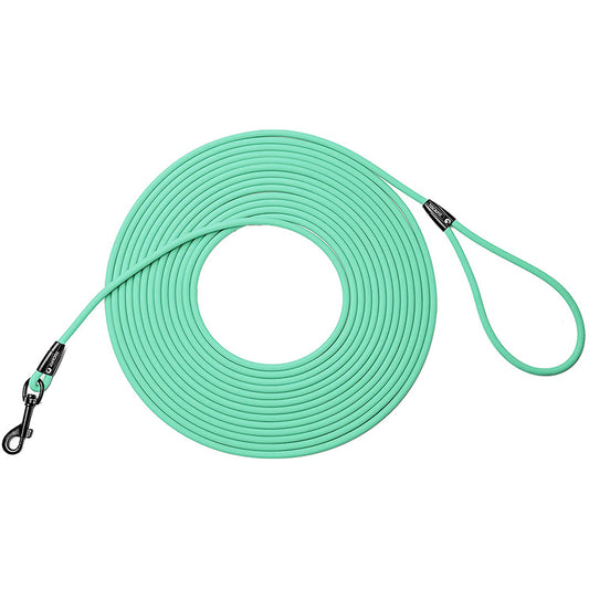 Longe pour chien EasyTrain™ - Turquoise