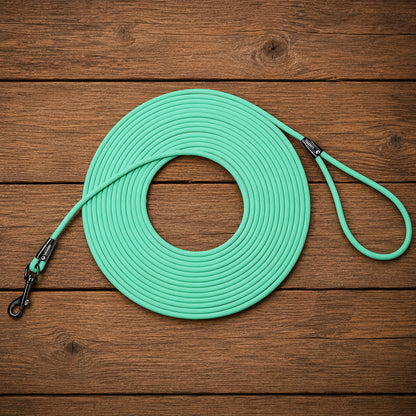 Longe pour chien - EasyTrain™