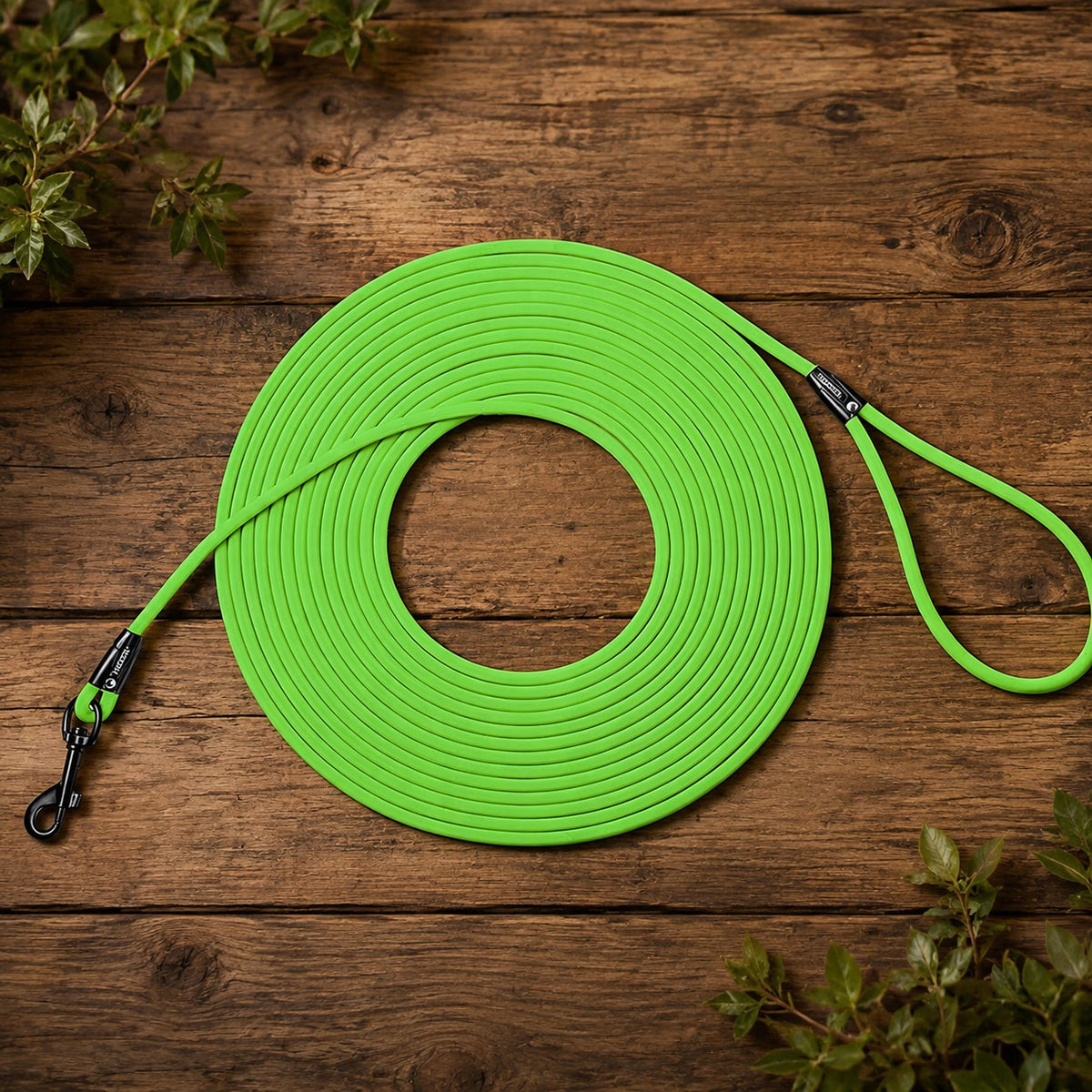 Longe pour chien - EasyTrain™