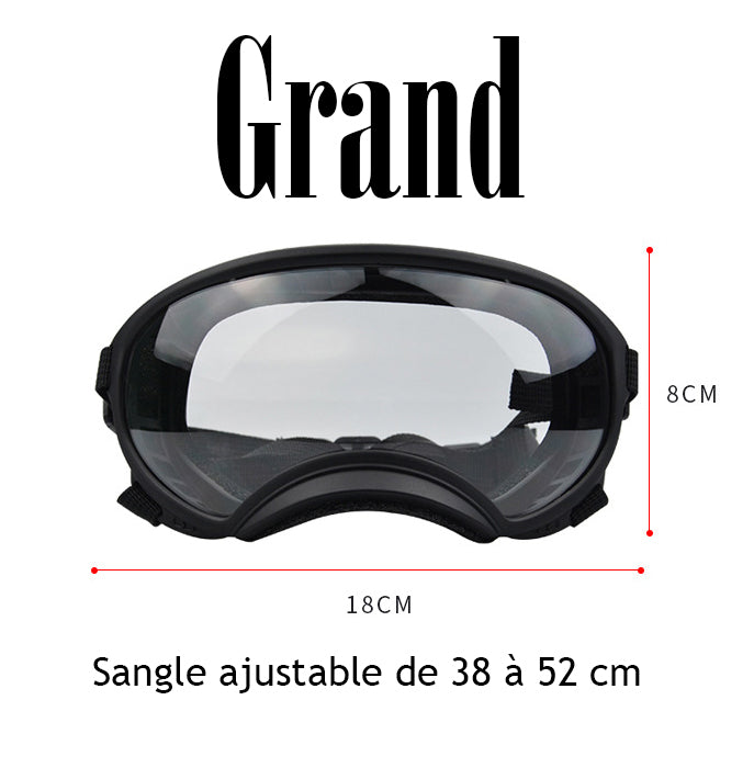 Lunette pour chien - AllTimeGoggle™