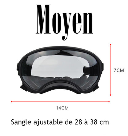 Lunette pour chien - AllTimeGoggle™