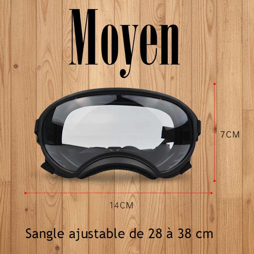 Lunette pour chien - AllTimeGoggle™