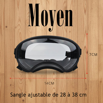 Lunette pour chien - AllTimeGoggle™