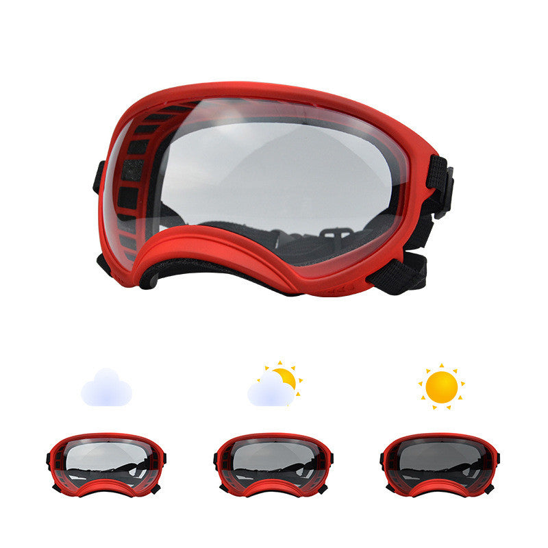Lunette pour chien - AllTimeGoggle™