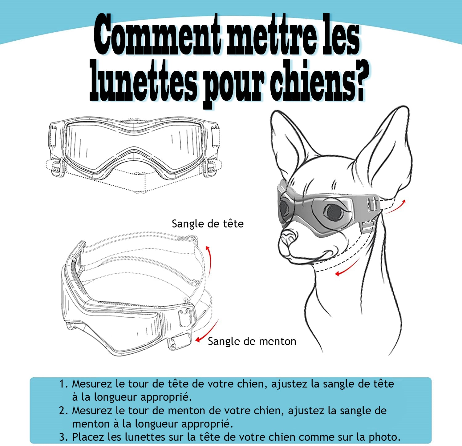Lunette pour chien - BeautyDog™