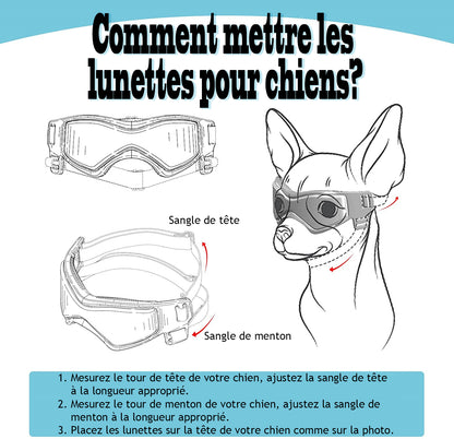 Lunette pour chien - BeautyDog™