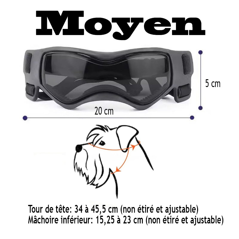 Lunette pour chien - BeautyDog™