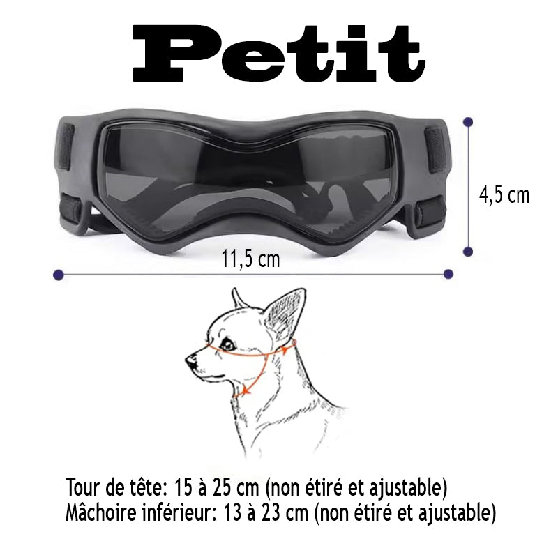 Lunette pour chien - BeautyDog™
