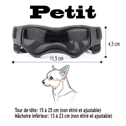 Lunette pour chien - BeautyDog™